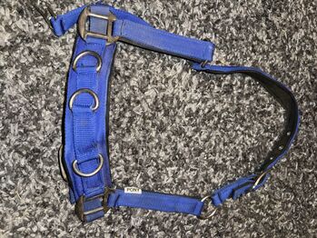 Longierhalfter Größe Pony, Corina , Lunging, Egling an der Paar