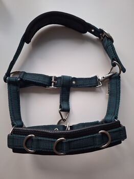 Longierhalfter Minishetty, Showmaster Longierhalfter Freedom, Celine Mager, Lunging, Kamenz