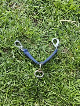 Longierbrille, Isi, Longieren, Salzfurtkapelle