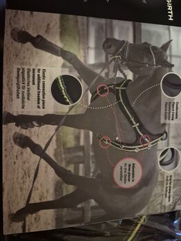 Longiergurt von IMPERIAL RIDING HOLLAND B.V., Imerial Riding Holland B.V Innovative Lunging Girth, Sabine , Longieren, München