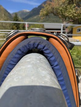 Longiergurt aus Leder Busse