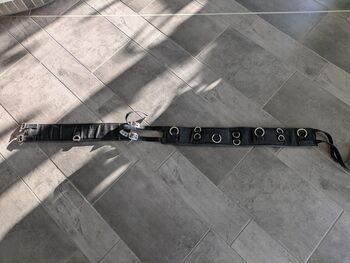 Longiergurt, Elke Sänger , Longieren, Steinweiler 