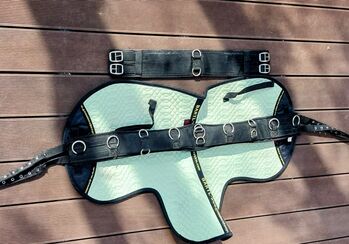 Longiergurt weich gepolstert incl. Schabracke, Gr.Full, Simone Claridge, Longieren, Oberhaching