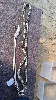 Longierhilfe, Melissa, Longieren, Thedinghausen 