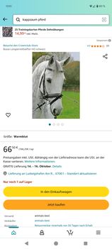 Longierreithalfter