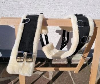 Longiergurt PONY, Showmaster, Sarah, Lunging, Schönwölkau