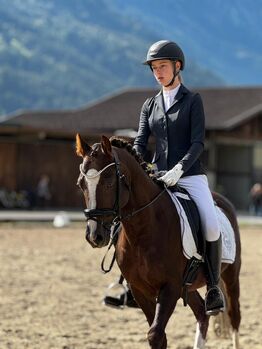 Liebenswerts Reitpony, Patricia , Horses For Sale, Tarrenz 