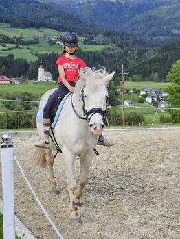 Liebevoller Wallach als Freizeit-Kinder oder Therapiepferd