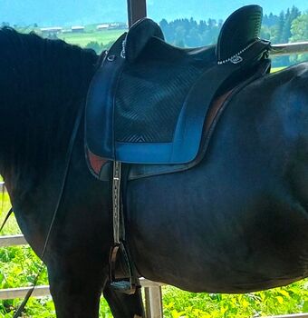 Ludomar Portuguesa spanische, portugiesischer Stierkampf Sattel, Ludomar Ludomar Portuguesa Mixta, Marion , Baroque Saddle, Bolsterlang 