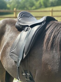 Luxus Freizeitsattel für kurze breite Pferde — Probeversand — Isländer Haflinger Friese Kaltblut COB Jeremy Rudge Contour mit Ponybaum