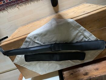 Longiergurt WB Horses 