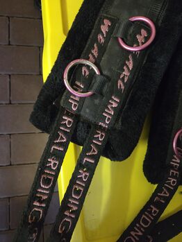 Longiergurt Imperial Riding WB pink