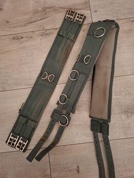 Longiergurt olivegrün COB, Showmaster, Gina, Lunging, Lamstedt