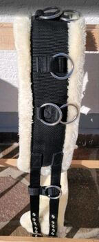 Longiergurt PONY Showmaster