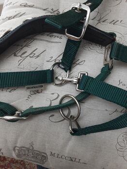 Longierhalfter, Showmaster, Speier, Halters, Inzigkofen