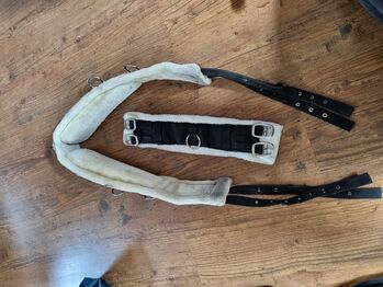 Longiergurt, Franziska Ortmüller , Lunging, Lennestadt