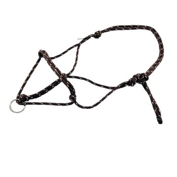 Longierknotenhalfter Shetty in Braun-Weiss-Beige Freespirit Horse Art