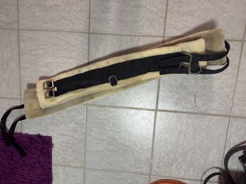 Longiergurt mit Gurt Krämer