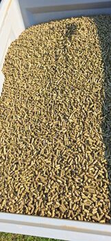 Luzernecobs zu verkaufen – optimale Raufutterergänzung (Gesamtmenge ca. 600 kg, auch Kleinmengen), Luzernecobs, Rebe, Hay & Straw, Luckau