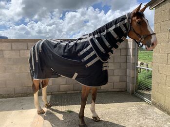 Magni-Teque Bi Polar rug, Premier Equine  Magni Teque Bi Polar rug , Becks northover, Horse Blankets, Sheets & Coolers, Gloucester