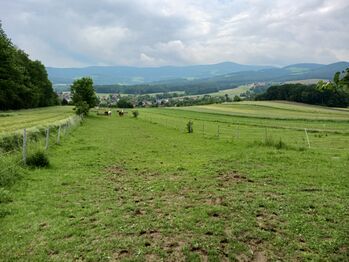 !Wir sind voll! Einstellplätze frei !Warteliste!