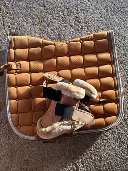 Mangofarbendes Set, Felix Bühler, Annabell , Dressage Pads, Rammingen 