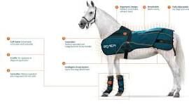 BEMER Horse Cuffs BEMER BEMER Horse Cuffs