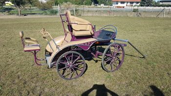Marathon-/Geländekutsche mit Dressursitz, PEGASUS, H.C.S., Carriages, Förderstedt