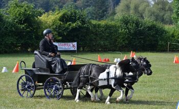Marathonwagen für K-Ponies, Susanne Lingemann, Carriages, Bad Driburg-Dringenberg