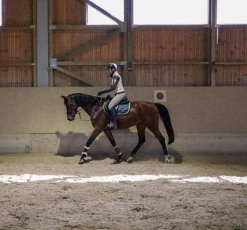 Stute mit Herz aus Gold