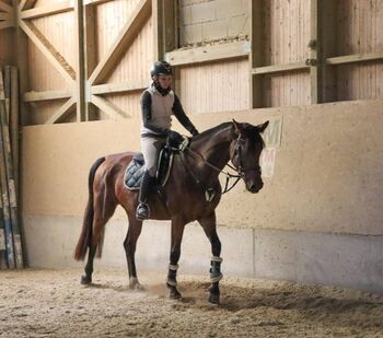 Stute mit Herz aus Gold