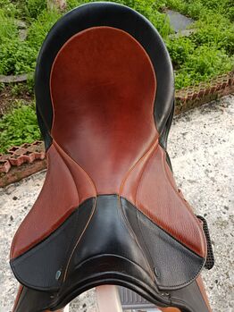 Stübben brand: jumping saddle, girth , martingale,stirrups, stirrups leather Stübben imperator