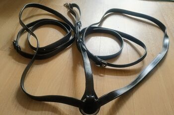 Martingal Warmblut/Full in Schwarz
