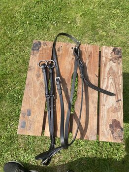 Martingal Claridge House Gr. Cob, Claridge House, Maria - Sophie Schmidt, Training Aids, Garbsen