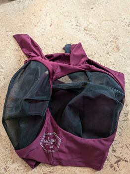 Fliegenmasken, Felix Bühler und Irish Innovation , Laura Eckel , Ochrona koni przed owadami , Bonn