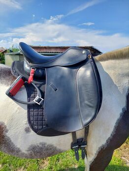 Massimo Dressur 2, KW33, 17 Zoll, Massimo  Dressur 2, Sarah Pietsch, Dressage Saddle, Oranienburg 