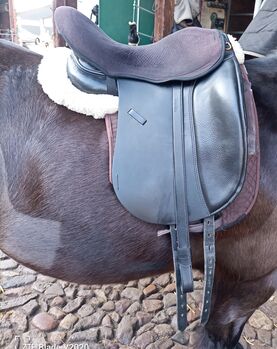 Massimo Dressur II, 17,5 FK, Heike Wahlen-Voigt , Dressage Saddle, Etelsen