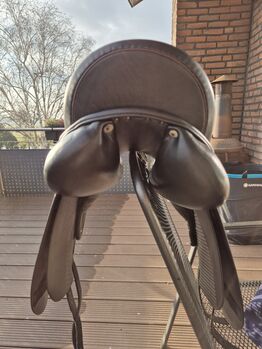 Massimo Dressur II - 17 Zoll Massimo Dressur 2