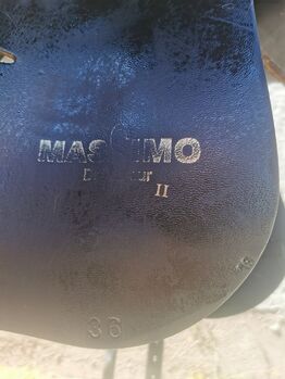 Massimo Dressur II, FK,18" Massimo Dressur II