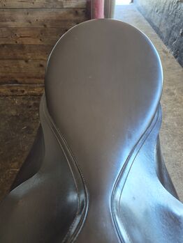 Massimo Dressursattel, Kaltblutsattel, topp, 19,5" Massimo