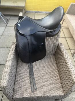 Massimo Dressur II Massimo  Dressur II