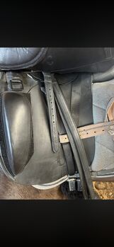 Massimo Saddle Up Dressur Massimo Saddle Up
