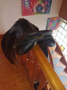 Massimo Tölt II 17,5 36 Kammer, Massimo Tölt II, Mara, Icelandic Saddle, Rommerskirchen