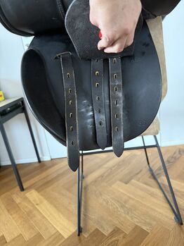 Massimo VS 17,5 Massimo Vielseitigkeit