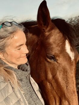 Pferdewirtschaftsmeisterin und Reitlehrerin FN bietet Reitunterricht, Katrin Albrecht, Riding Lessons, Ratingen 
