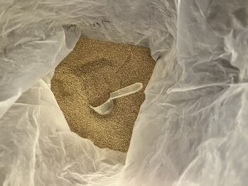 Masterhorse Ingwer-Pulver 1 kg Masterhorse Ingwer-Pulver