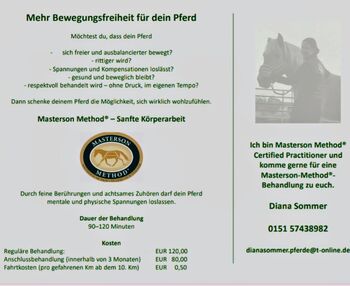Masterson Method® Behandlungen, Diana  (Diana Sommer Masterson Method® Certified Practitioner ), Therapie & Behandlung, Darmstadt 