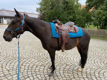 Mayatex Blanket plus Stallhalfter und Führstrick, Mayatex, Sandra  Kusiek , Western Pads, Dachau