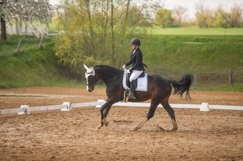 Mit Gefühl zum Erfolg – Quickfire sucht ihre Reiterin