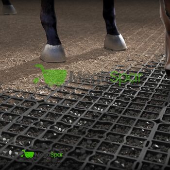 MegaSpar Paddockplatten - ReitPRO40 & Rasengitter für Pferdepaddocks, MEGASPAR - Online Shop Rasengitter | Paddockplatten | Kunststoffmatten - Parkplatzgitter , MEGASPAR Online-Shop (Walas Krystian BAU-CONSULTING), Horse & Stable Mats, Berlin